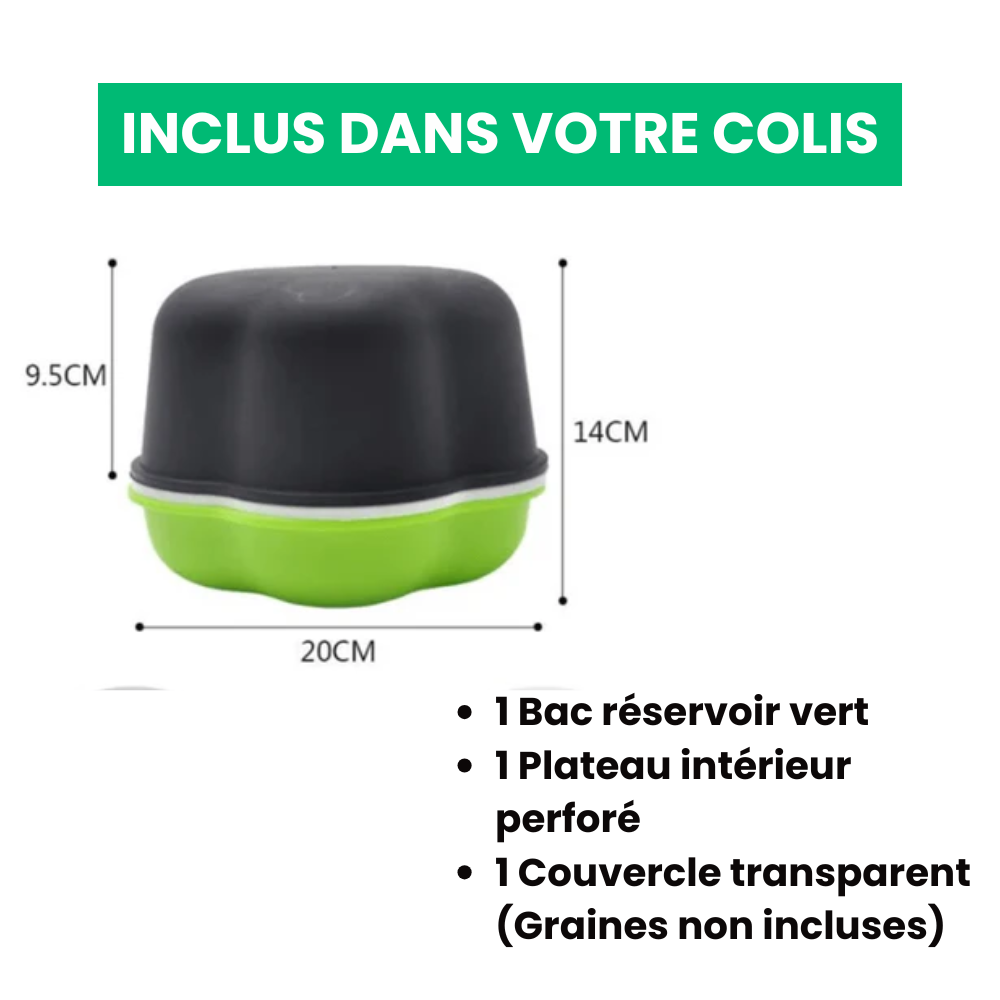 Plateau de Culture Hydroponique Maison Innovant