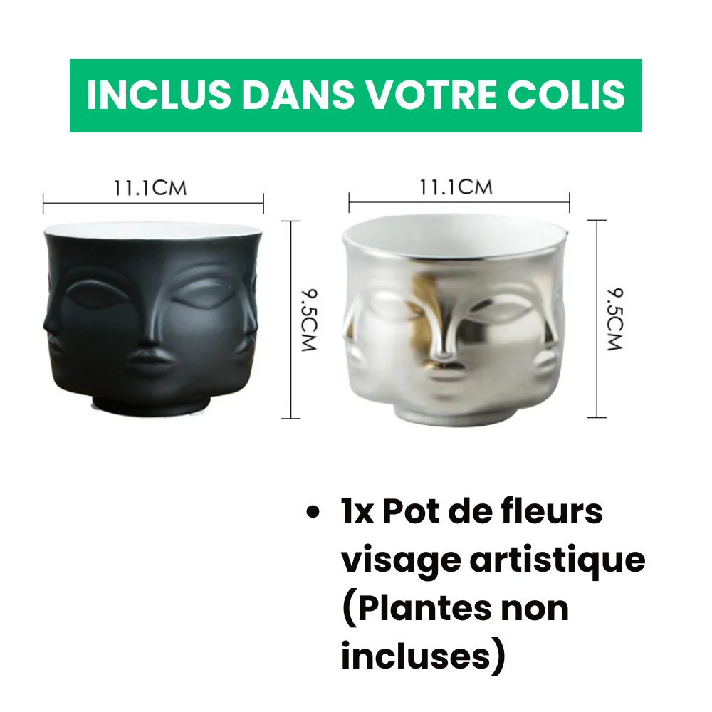 Pot de Fleurs Visage Artistique