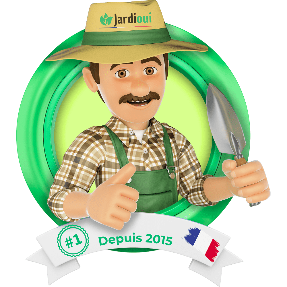 Jardioui UpCart - Shipping Protection Commande VIP