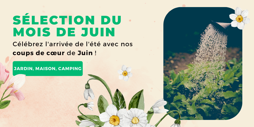 Sélection du mois de Juin