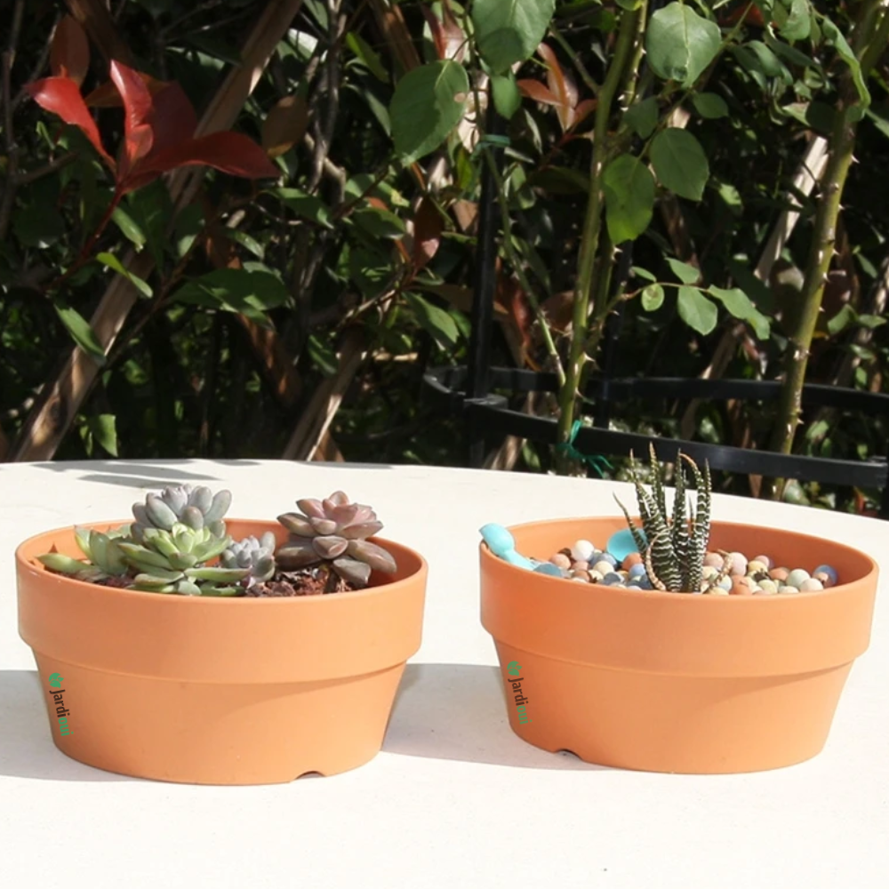 Pots de Fleurs en Terre Cuite Écologiques (4 + 2 Offerts)