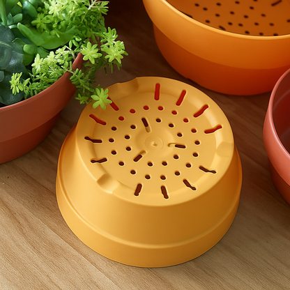 Pots de Fleurs en Terre Cuite Écologiques (4 + 2 Offerts)