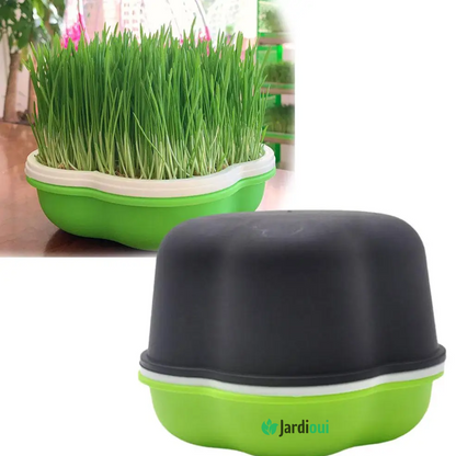 Plateau de Culture Hydroponique Maison Innovant