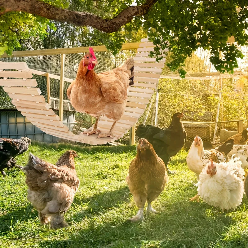 Balançoire Suspendue pour Poulailler