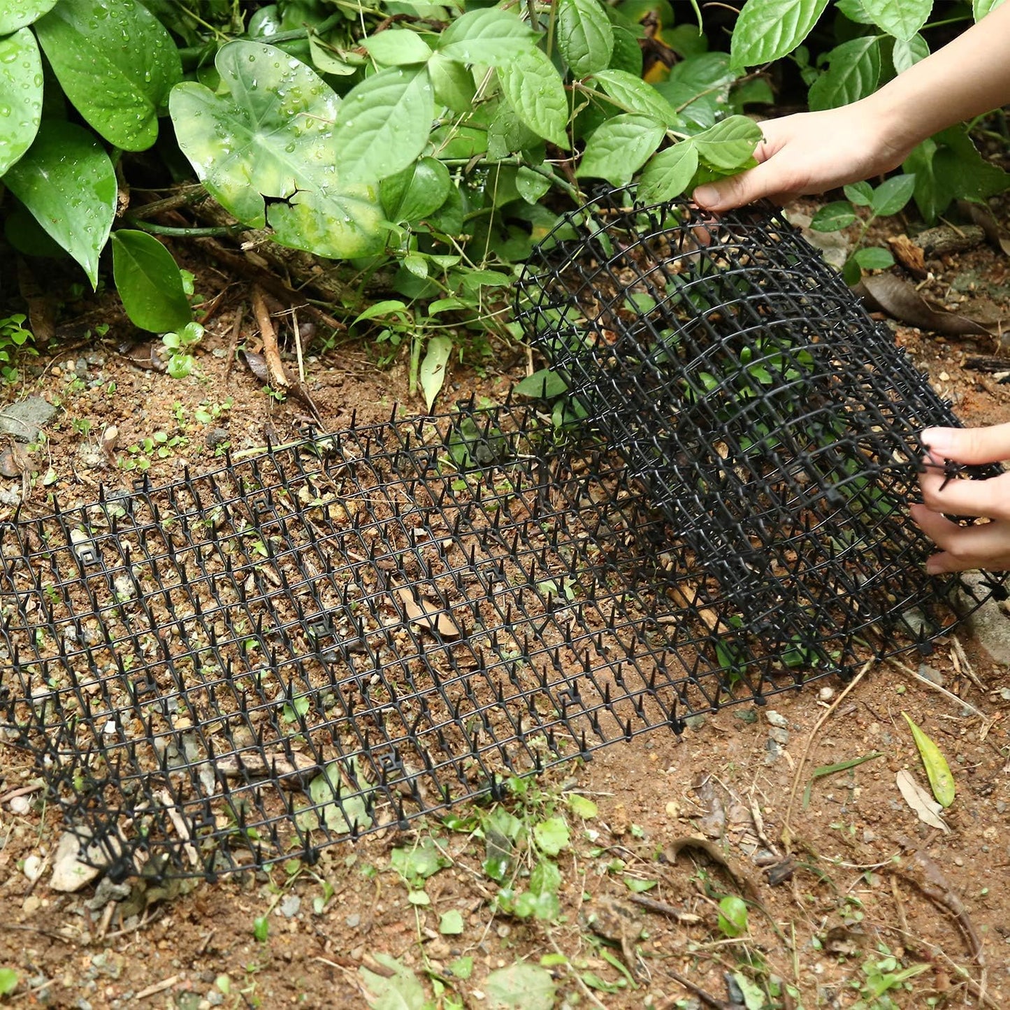 Tapis Protecteur Doux et Respectueux des Animaux