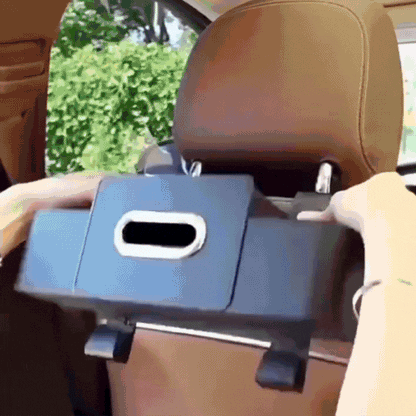 Organisateur Auto Suspendu Pratique