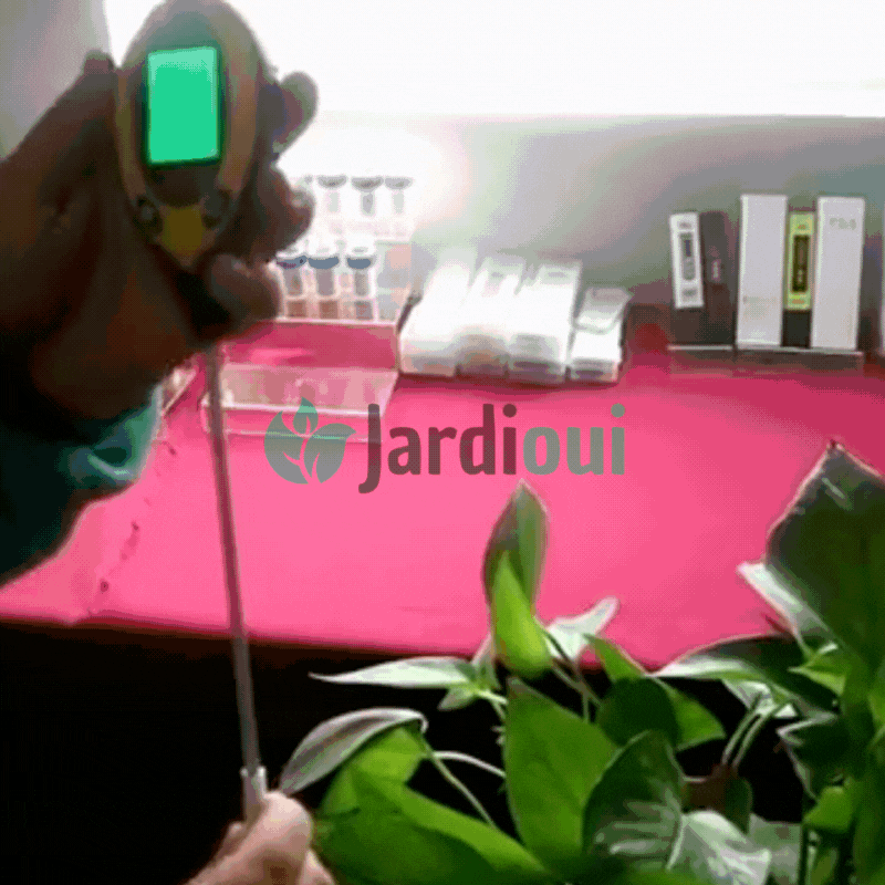 PH-mètre de Sol Numérique Multifonction 4 en 1