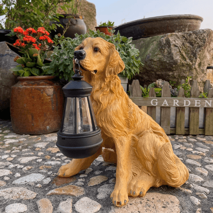 Jardioui Golden Retriever Lampe Chien Solaire Éblouissant