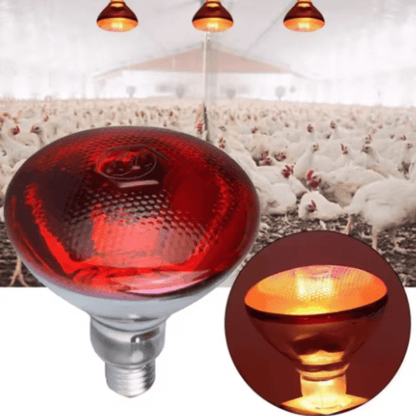 Jardioui Lampe Chauffante à Infrarouge pour Poulailler