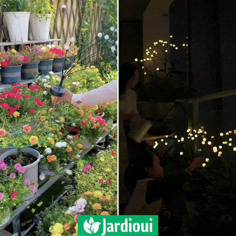 Jardioui Lampes LED Lucioles à Énergie Solaire - Offre Spéciale