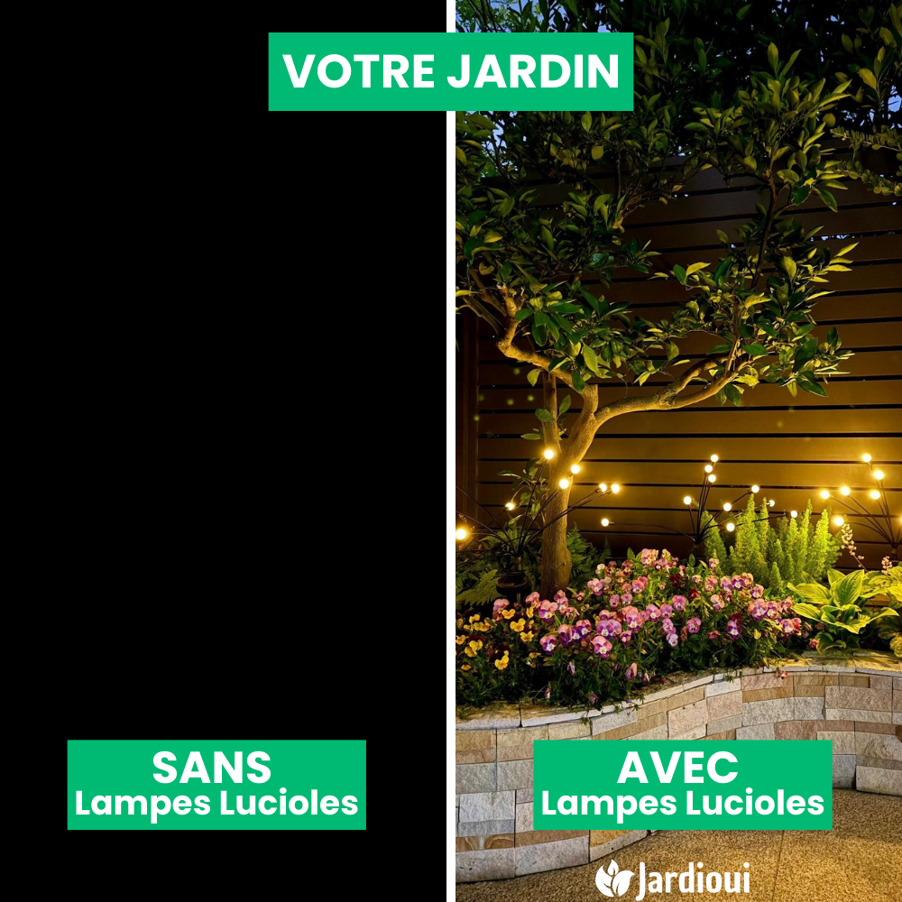 Jardioui Lampes LED Lucioles à Énergie Solaire - Offre Spéciale