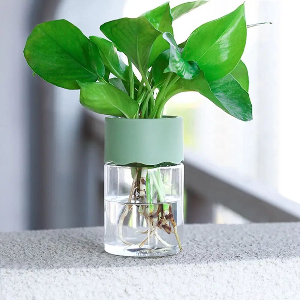 Jardioui Vase en plastique hydroponique Minimalistes