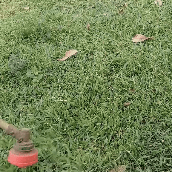 Tête de Débroussailleuse Incassable - JardiBlade PRO