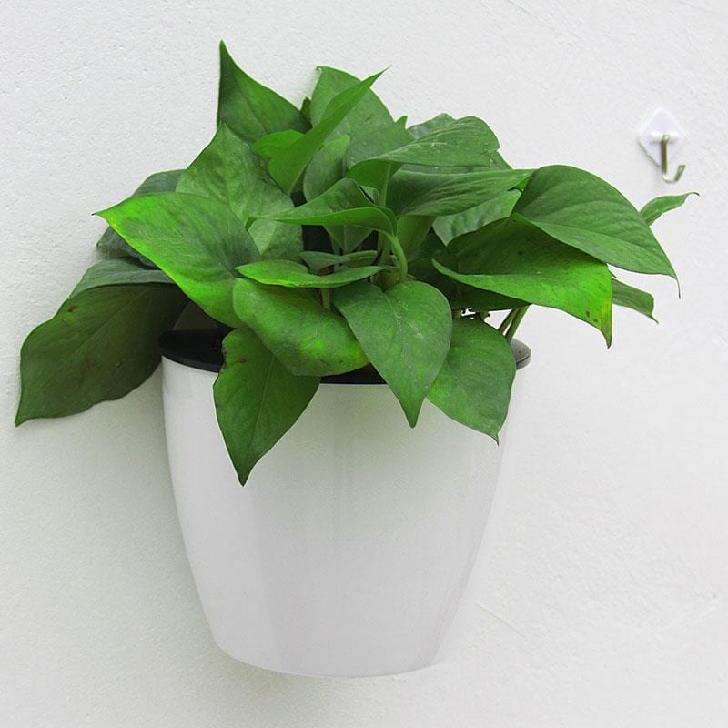 frJardioui M Porte Plante Mural Décoratif à Suspendre